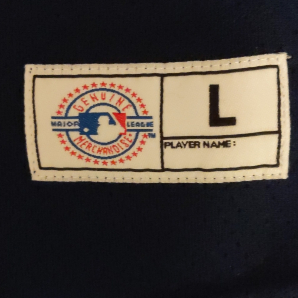 Youth L (16-18) Nike Boston Red Sox Jersey - Picture 5 of 6